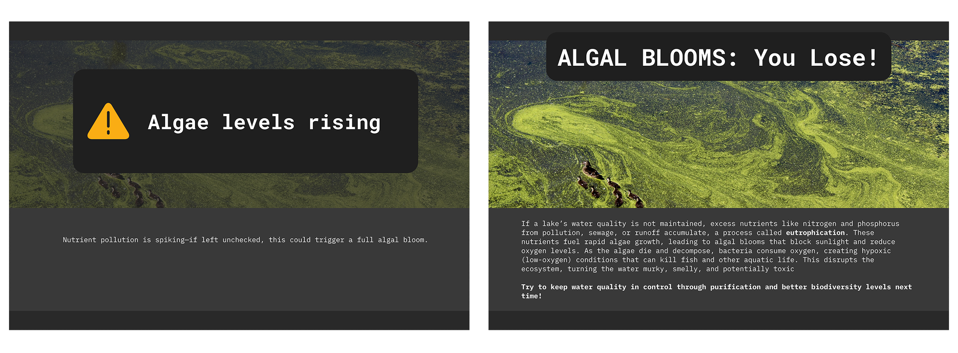 Information card example