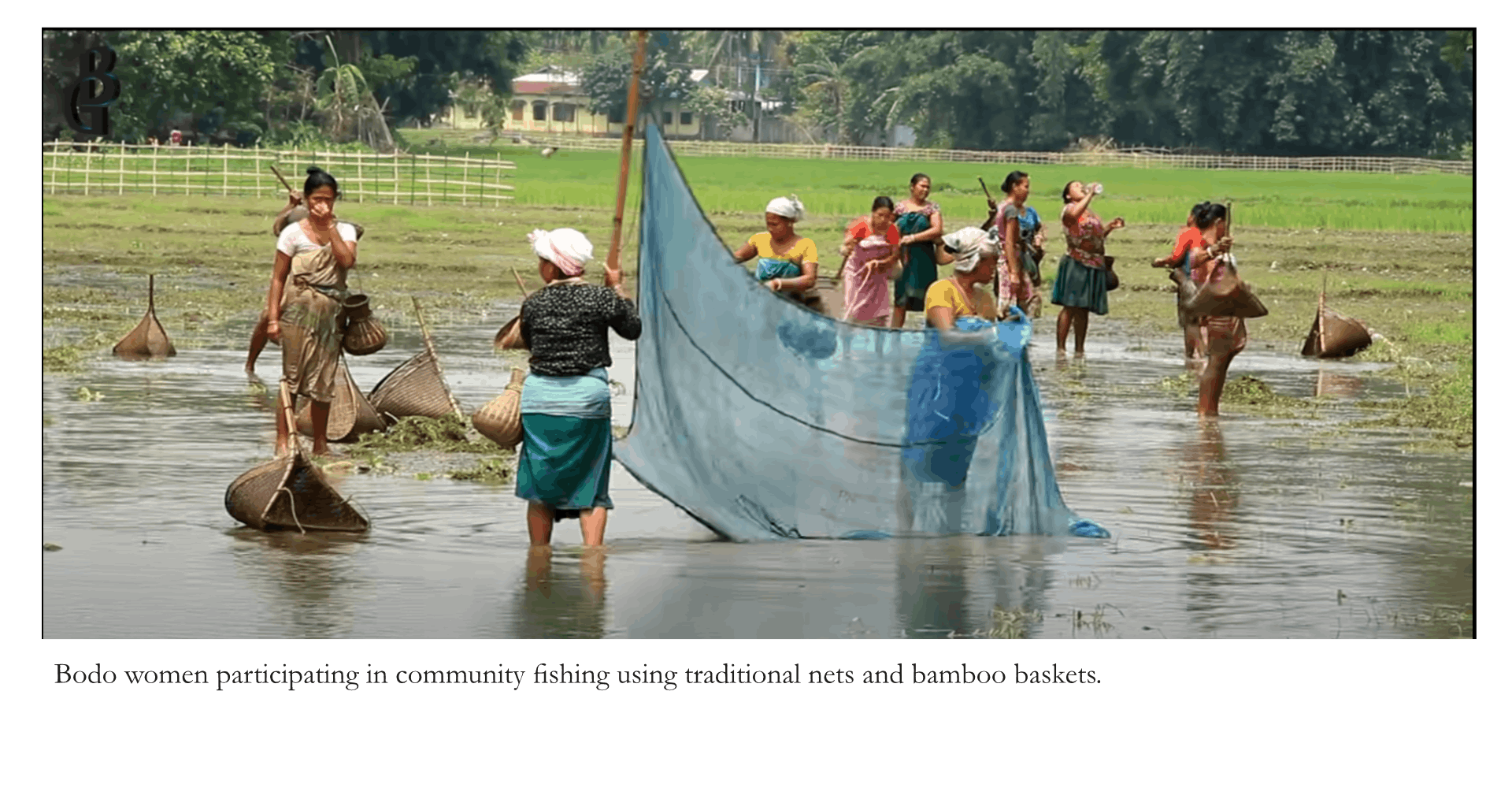 Real-World Reference: Boro Communal Jakoi Fishing