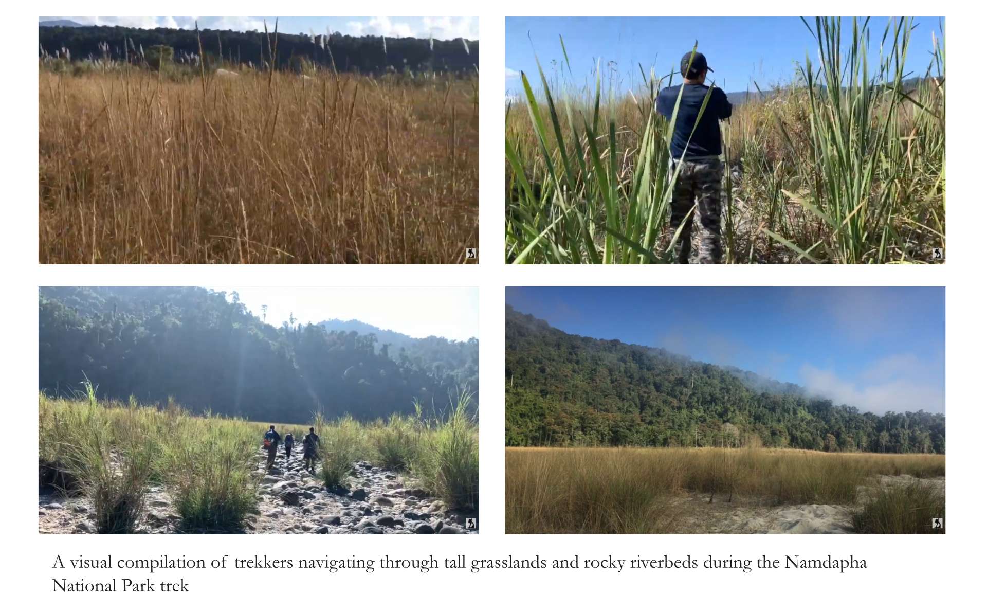 Real-World Reference: Wetland Stream Navigation